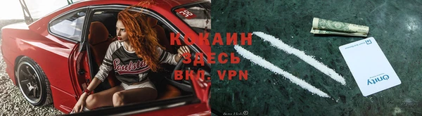 крисы Богданович