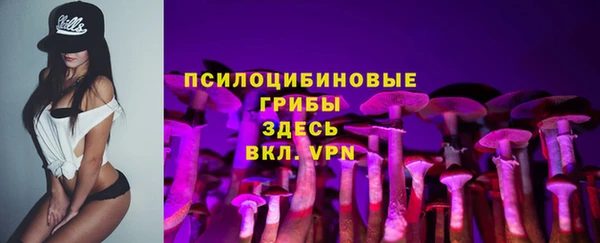 крисы Богданович