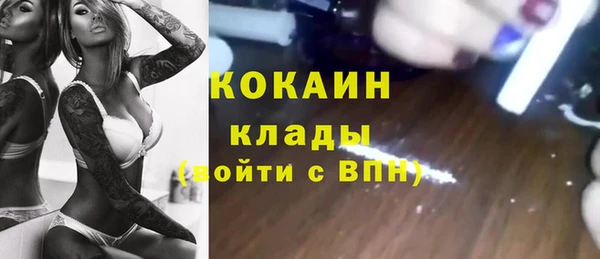 прущие грибы Беломорск