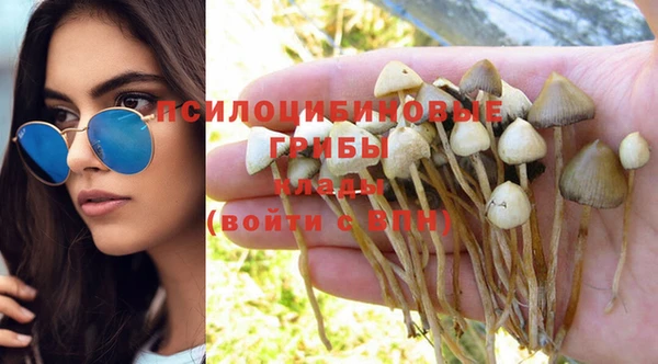 ALPHA-PVP Богородицк