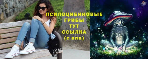 крисы Богданович
